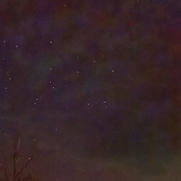 Meet your posher, Sherry - Picture 1 of 1